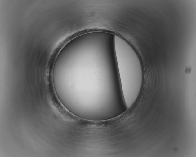 X0000111390680200907101001