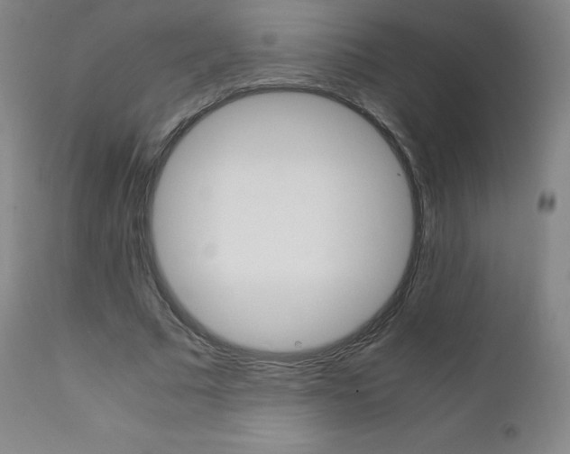 X0000111390681200907101001
