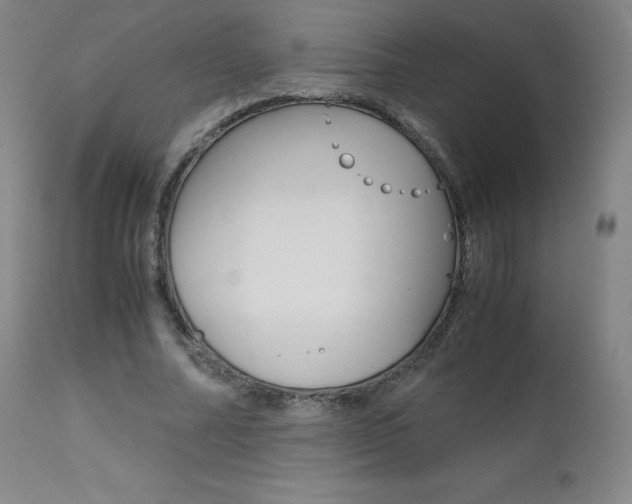 X0000111390682200907101001