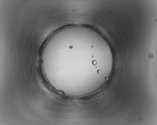 X0000111390683200907101001