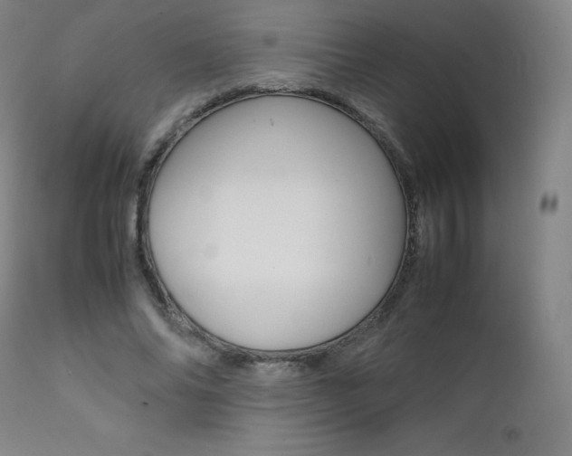 X0000111390686200907101001