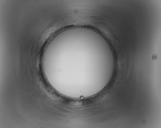 X0000111390687200907101001