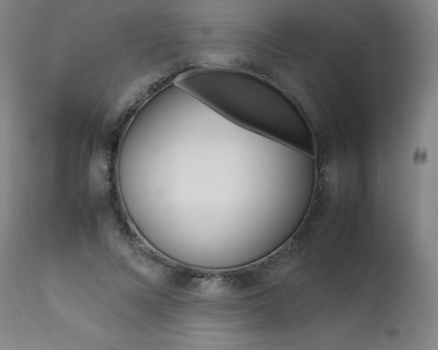 X0000111390688200907101001