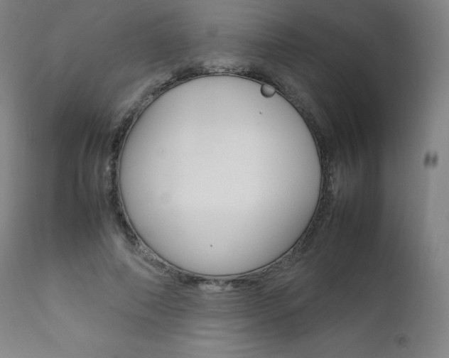 X0000111390690200907101001