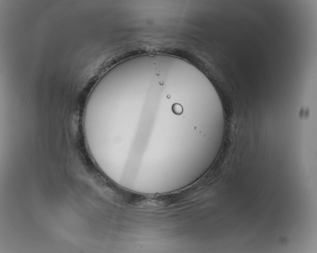 X0000111390691200907101001