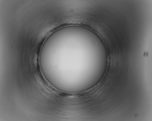 X0000111390692200907101001