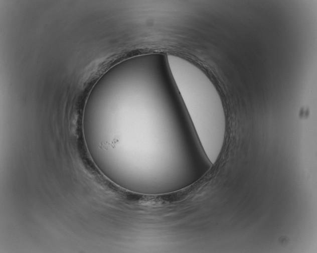 X0000111390693200907101001