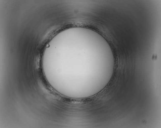 X0000111390694200907101001