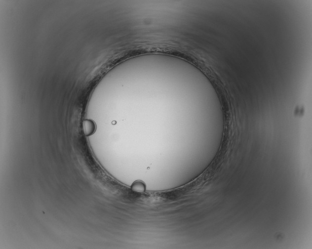 X0000111390695200907101001