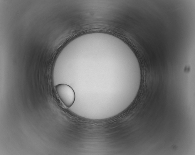 X0000111390696200907101001