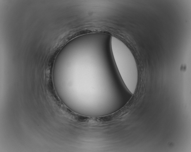 X0000111390697200907101001