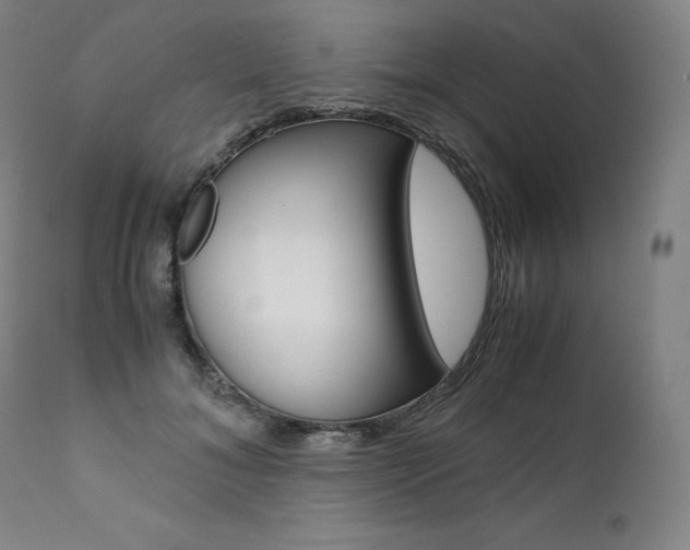 X0000111390700200907101001