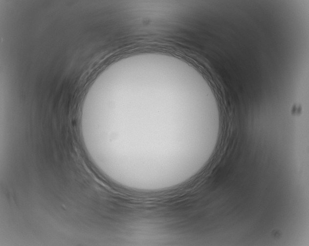 X0000111390701200907101001