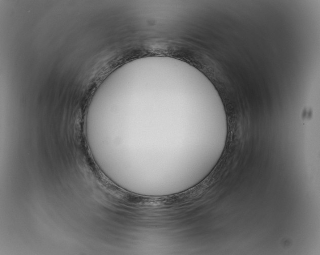 X0000111390702200907101001