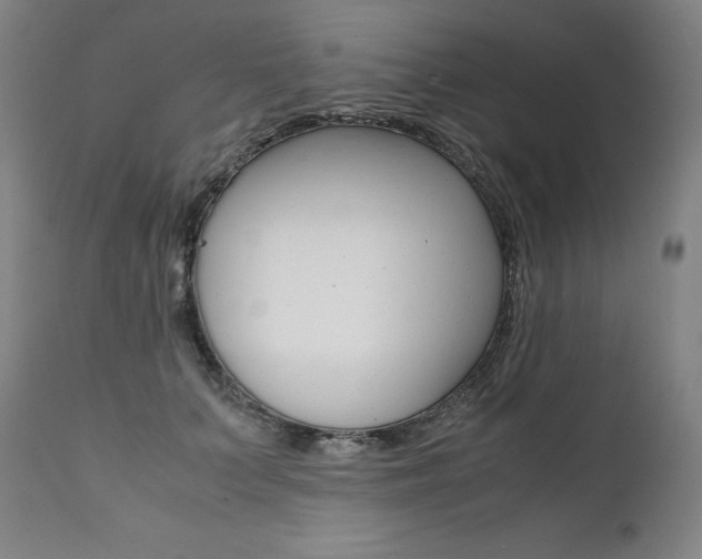 X0000111390703200907101001