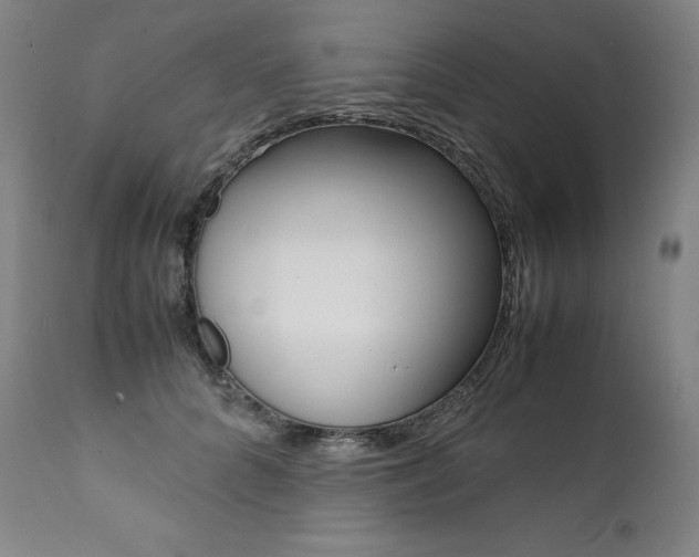 X0000111390704200907101001