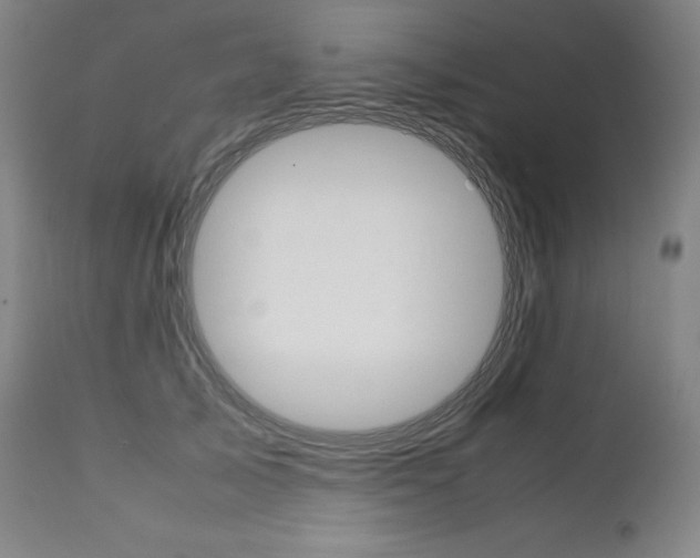 X0000111390705200907101001