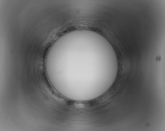 X0000111390706200907101001