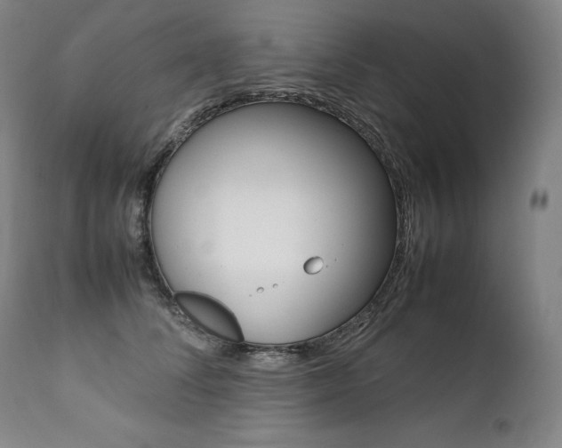 X0000111390708200907101000