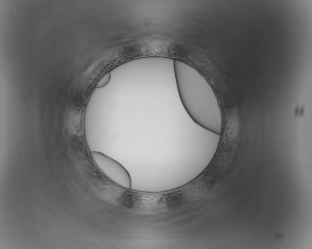 X0000111390709200907101000