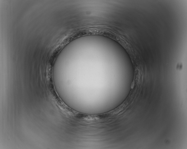 X0000111390712200907101000