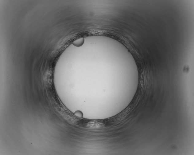 X0000111390714200907101000