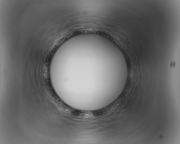 X0000111390715200907101000