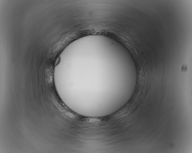 X0000111390719200907101000