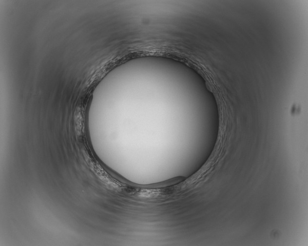 X0000111390720200907101000