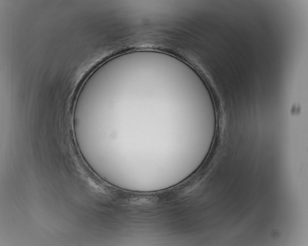 X0000111390721200907101000