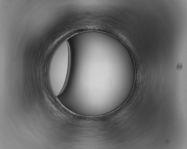 X0000111390722200907101000
