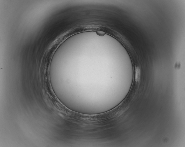 X0000111390723200907101000