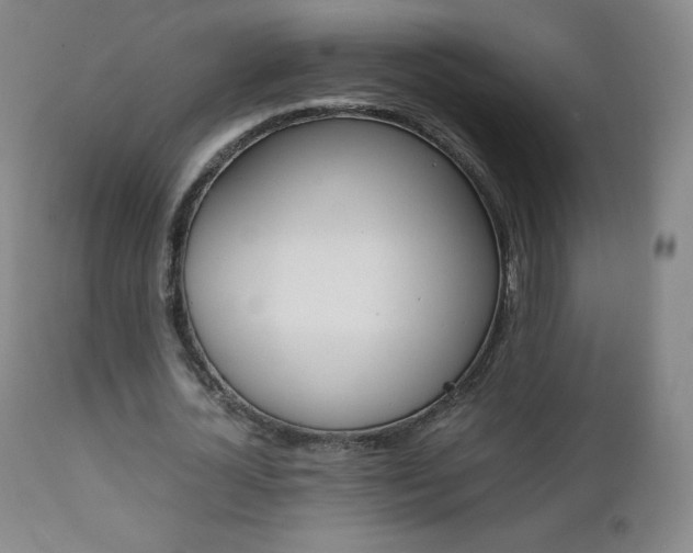X0000111390724200907101000