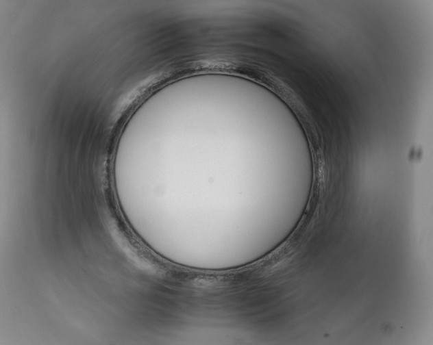 X0000111390725200907101000