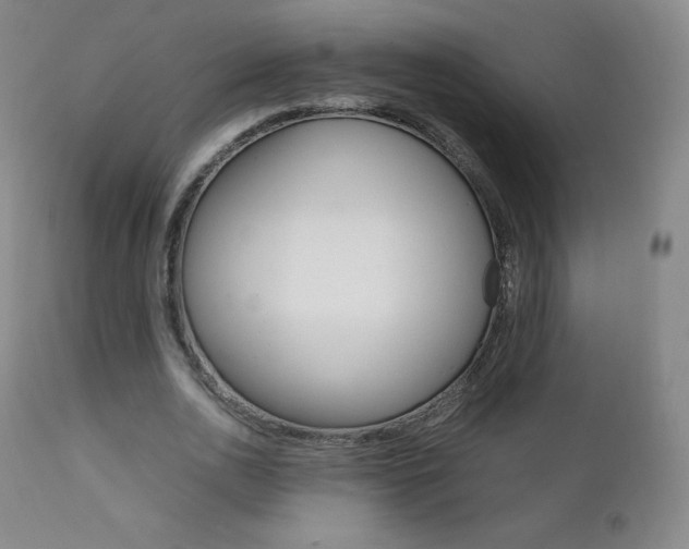 X0000111390726200907101000