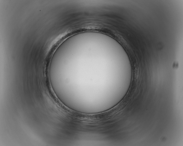 X0000111390727200907101000