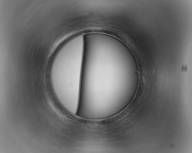 X0000111390728200907101000