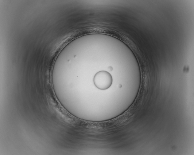 X0000111390729200907101000
