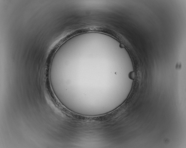X0000111390730200907101000