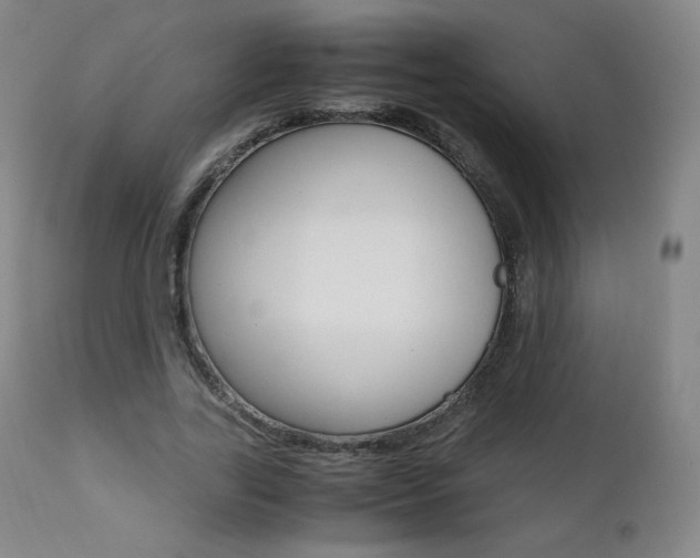 X0000111390731200907101000
