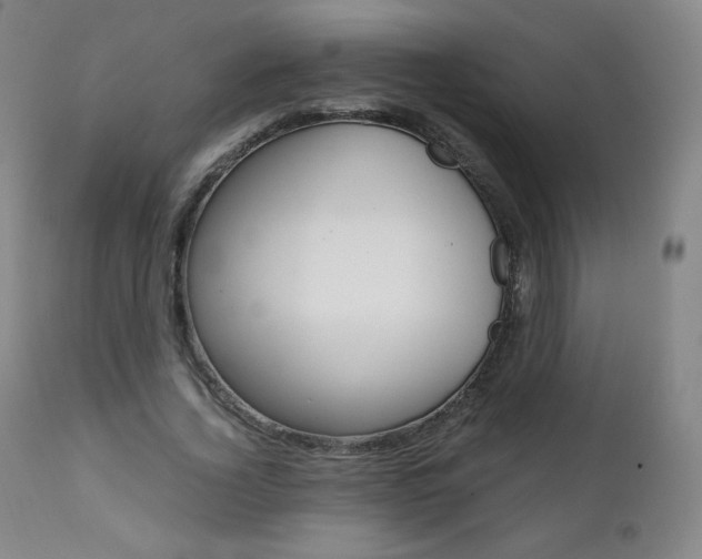 X0000111390732200907101000