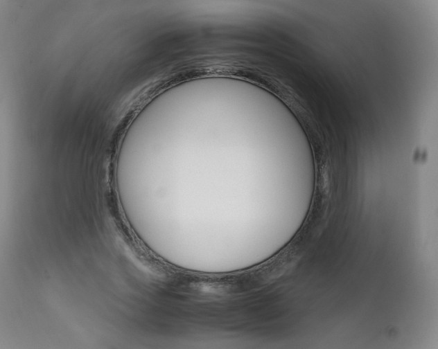 X0000111390733200907101000
