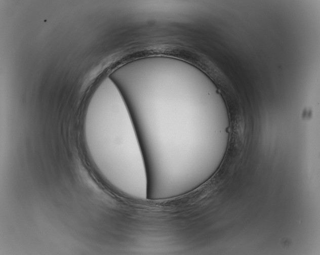 X0000111390734200907101000