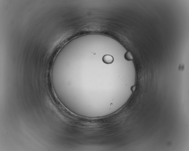X0000111390735200907101000