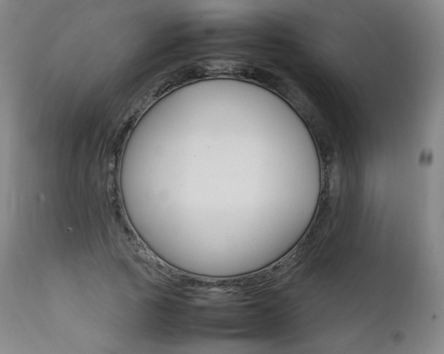 X0000111390737200907101000