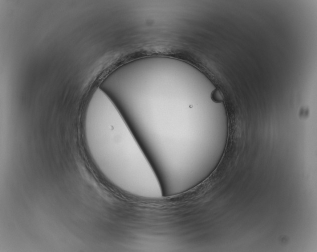 X0000111390738200907101000