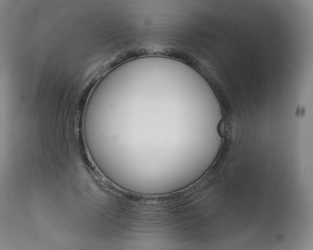 X0000111390740200907101000