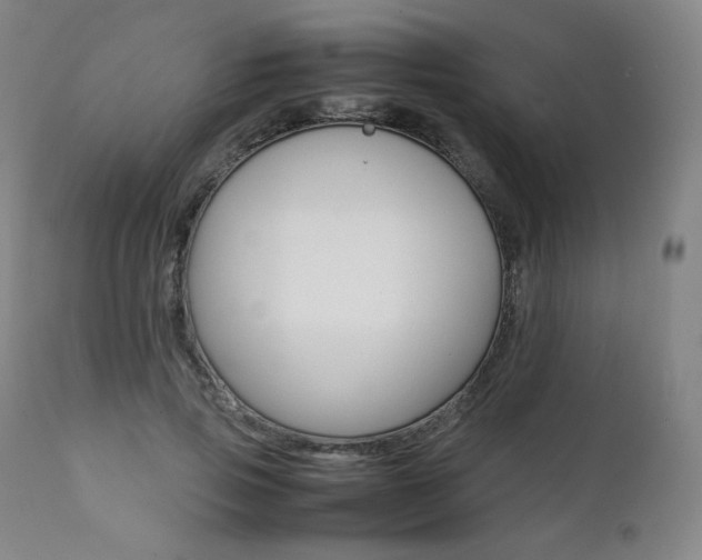 X0000111390741200907101000