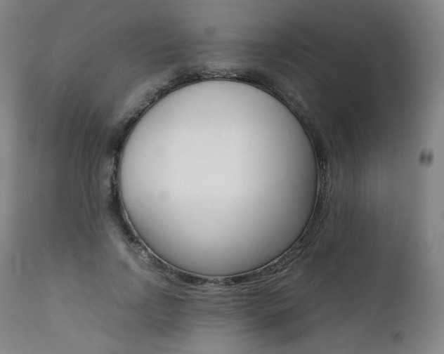 X0000111390742200907101000
