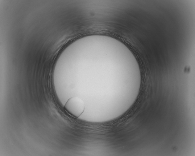 X0000111390744200907101000